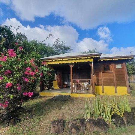 Cottage La Pointe Marine Deshaies Bagian luar foto