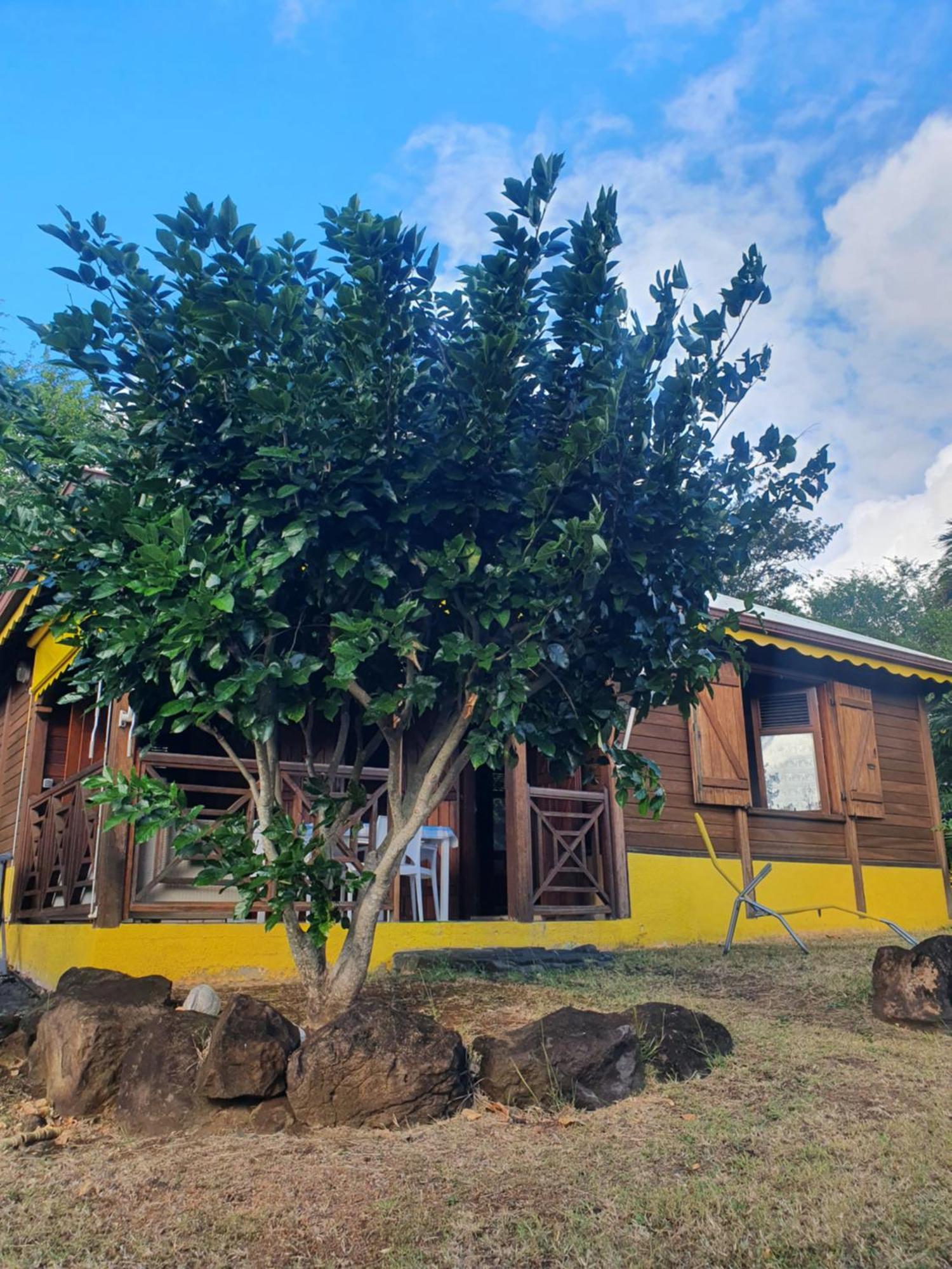 Cottage La Pointe Marine Deshaies Bagian luar foto
