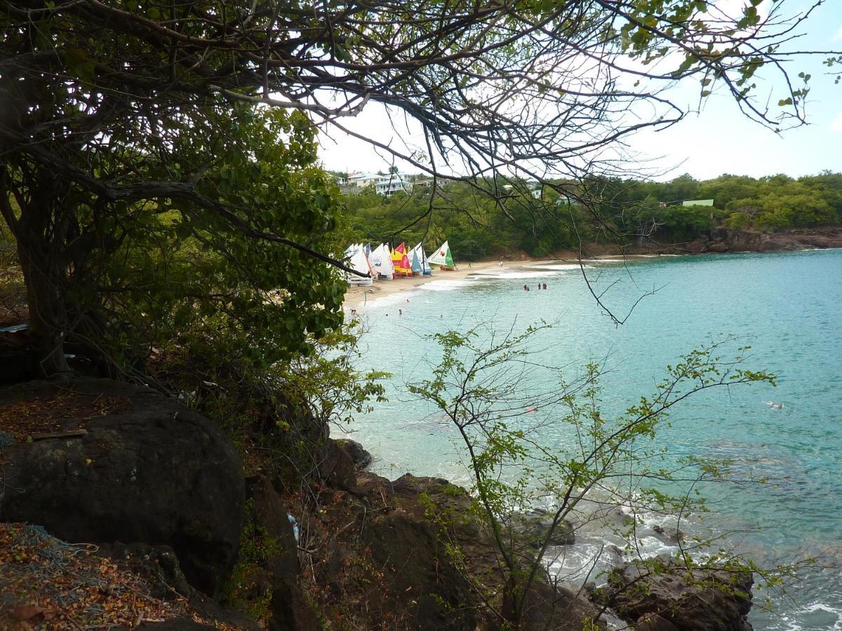 Cottage La Pointe Marine Deshaies Bagian luar foto